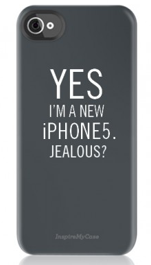 iphone 5 case (via inspiremycase)