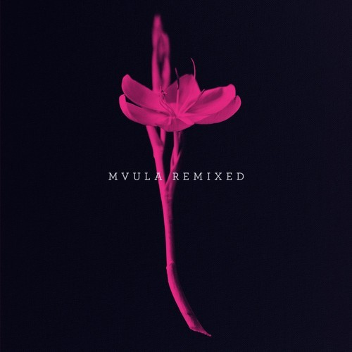 Mvula Remixed